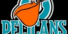 Pelicans-visa