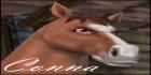 Star Stable ja Shine
