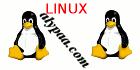 Team Linux