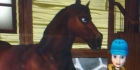 Star stable online