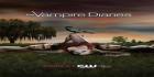 Love Vampire Diaries