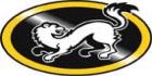 Kärpät