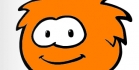 Club Penguin visailu