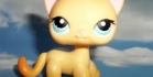 Littlest pet shop Visailua