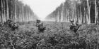 Sodat 1939-1945
