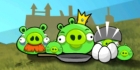 Angry Birds-yhteisövisa