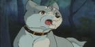 Nagareboshi Gin