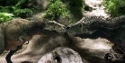 Dinosaur test