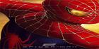 Spiderman visailua