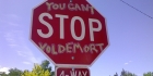 Voldemort-visailu