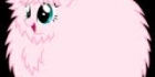 Fluffle Puff visa