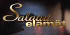 Salatut Elämät -Visa