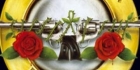 Guns N' Roses sanavisa