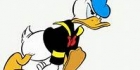Nokkapokka