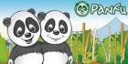 Panfu-visa
