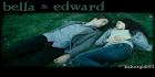 Twilight - Saaga