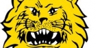 Tampereen Ilves Ice Hockey