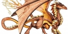 Dragons