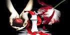 The Twilight Saga - Visa