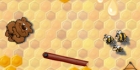 Bear Vs Bee