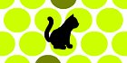 Chat Noir