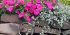 Flower Garden