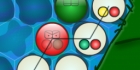 Bacteroid