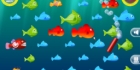 Feed the Fish