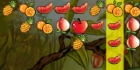All I Need is Fruit