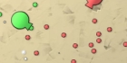 Blobble Wars