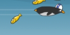 Jetstream Penguin