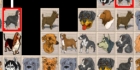 Dog Mahjong