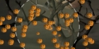 Jack O'Lantern Collector