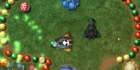 Eco Bears