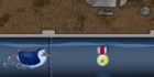 Arctic Boot Camp Blitz