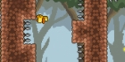 Gravity Duck