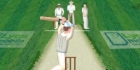 Hit For Six Cricket