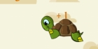 Turtle Dreams to Fly
