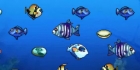 Couple Fishes