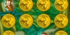 Diego Safari Memory