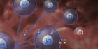 Nanowar 2