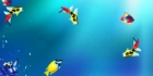 Queen Fish