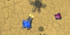 Desert Defence