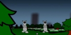 Raccoon Crisis