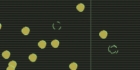Skill Test 2