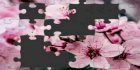 Jigsaw Puzzle Addiction